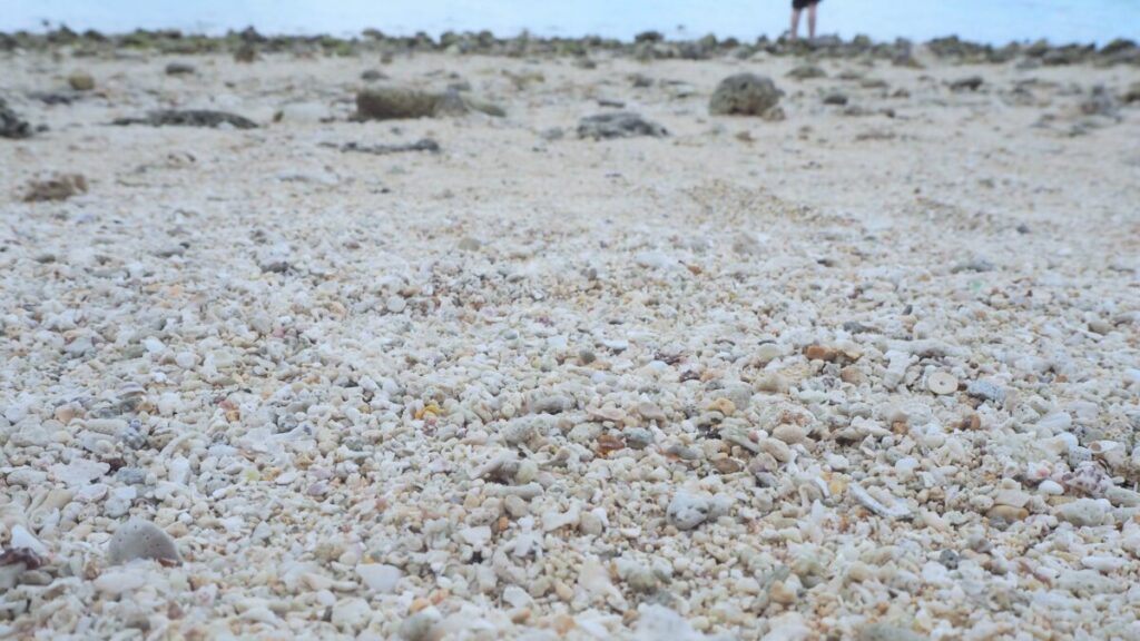 カイジ浜の砂